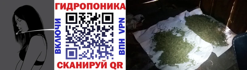 Шишки марихуана Ganja  Лесозаводск 